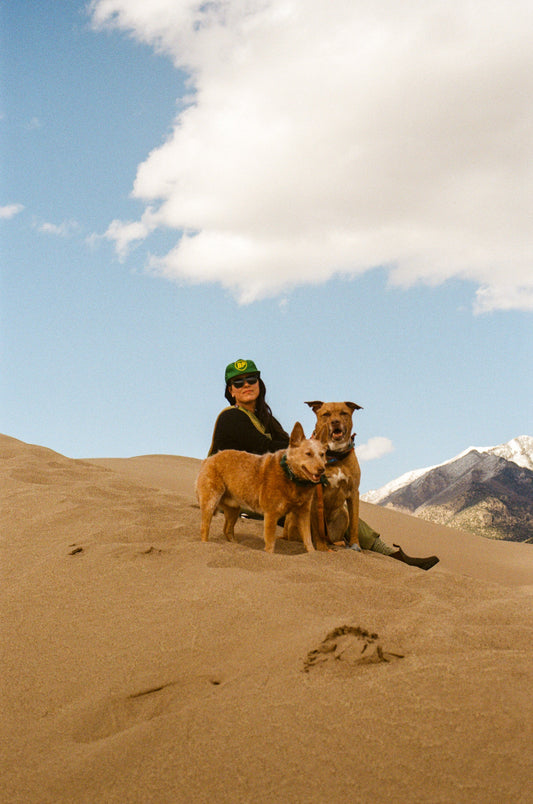Capturing all the moments: Stephanie Buehler